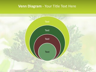 Oriental Colour Japan PowerPoint Template