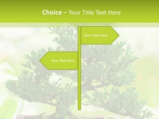 Oriental Colour Japan PowerPoint Template