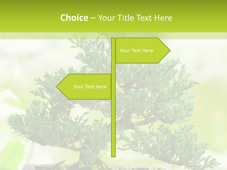 Oriental Colour Japan PowerPoint Template