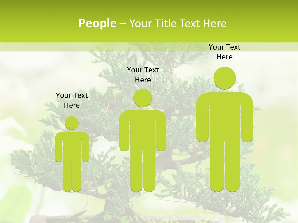 Oriental Colour Japan PowerPoint Template