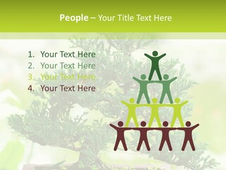 Oriental Colour Japan PowerPoint Template