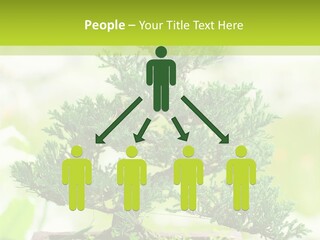 Oriental Colour Japan PowerPoint Template