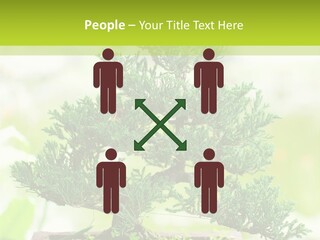 Oriental Colour Japan PowerPoint Template