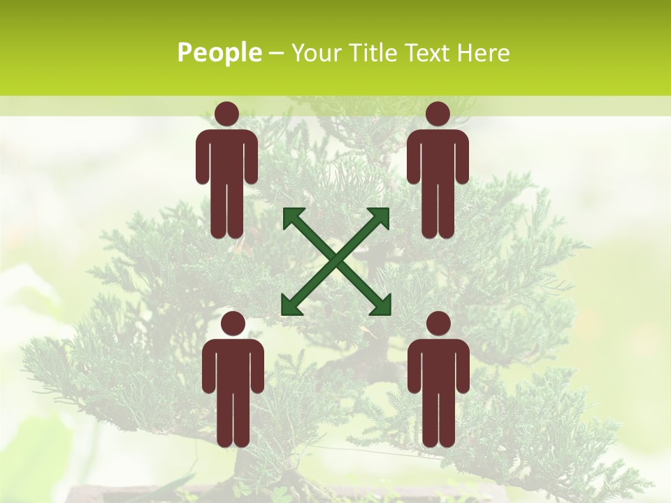 Oriental Colour Japan PowerPoint Template