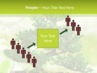 Oriental Colour Japan PowerPoint Template