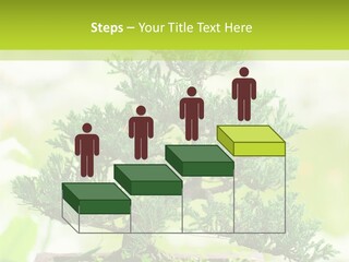 Oriental Colour Japan PowerPoint Template