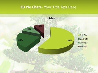 Oriental Colour Japan PowerPoint Template