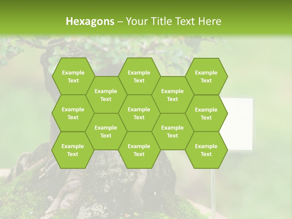 Shar Pei Puppy Lying Down PowerPoint Template