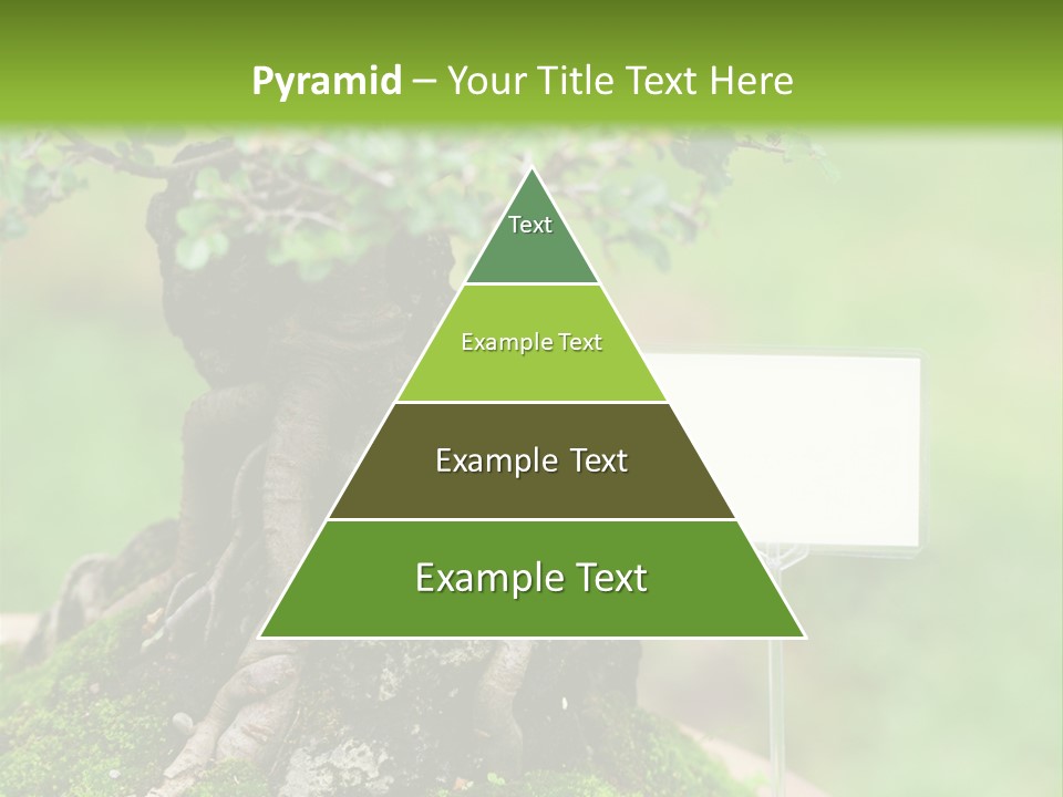 Shar Pei Puppy Lying Down PowerPoint Template