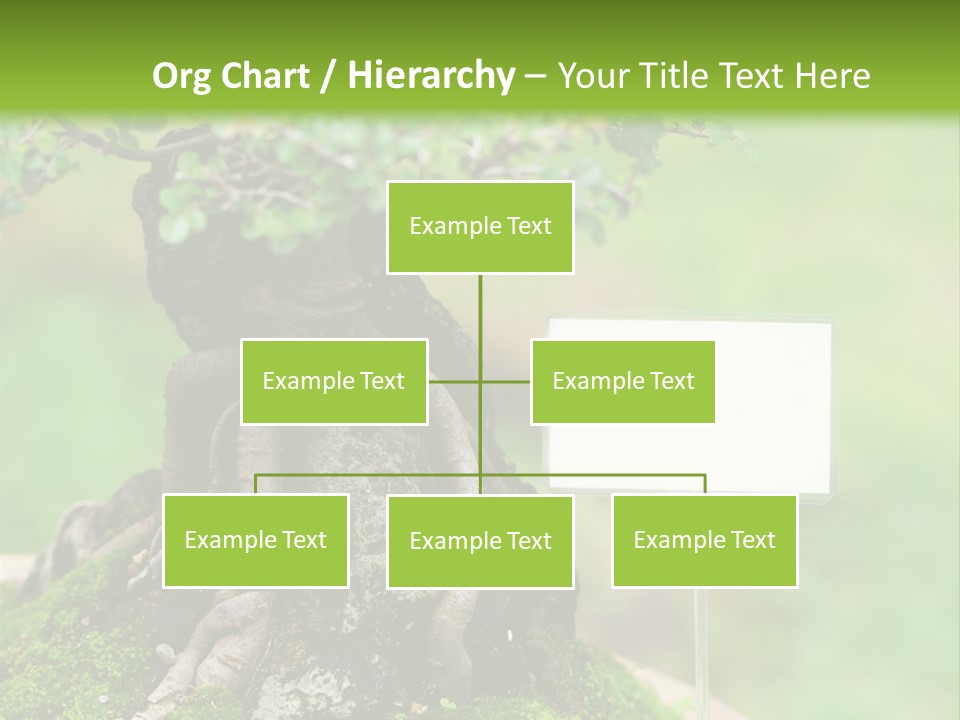 Shar Pei Puppy Lying Down PowerPoint Template