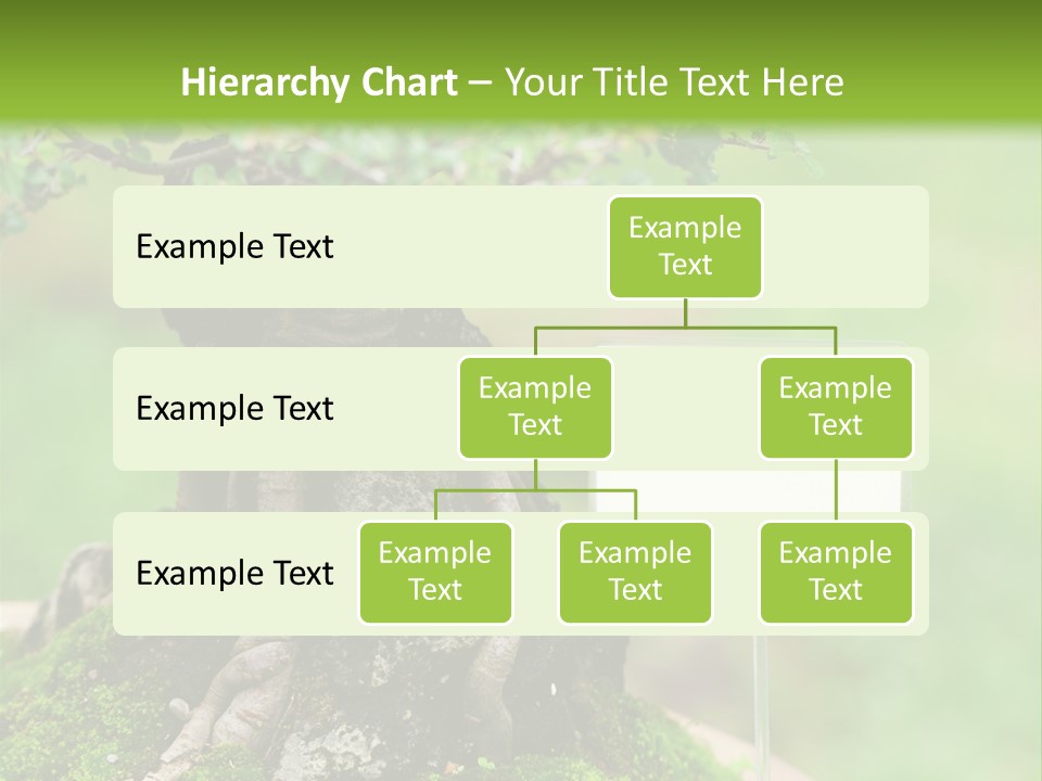 Shar Pei Puppy Lying Down PowerPoint Template