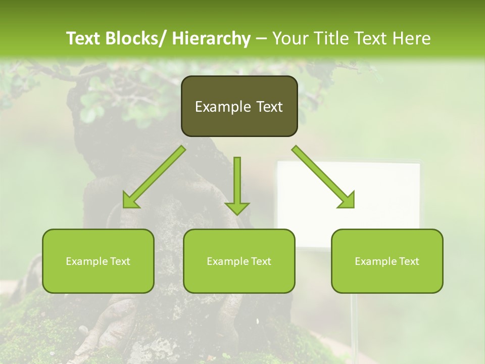 Shar Pei Puppy Lying Down PowerPoint Template