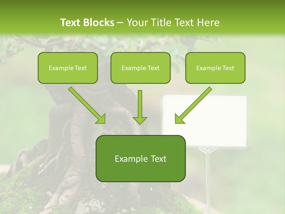 Shar Pei Puppy Lying Down PowerPoint Template