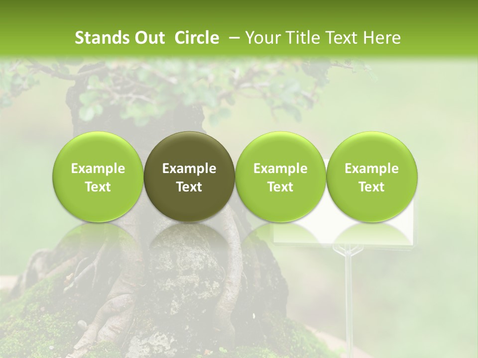 Shar Pei Puppy Lying Down PowerPoint Template