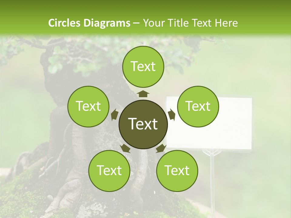 Shar Pei Puppy Lying Down PowerPoint Template