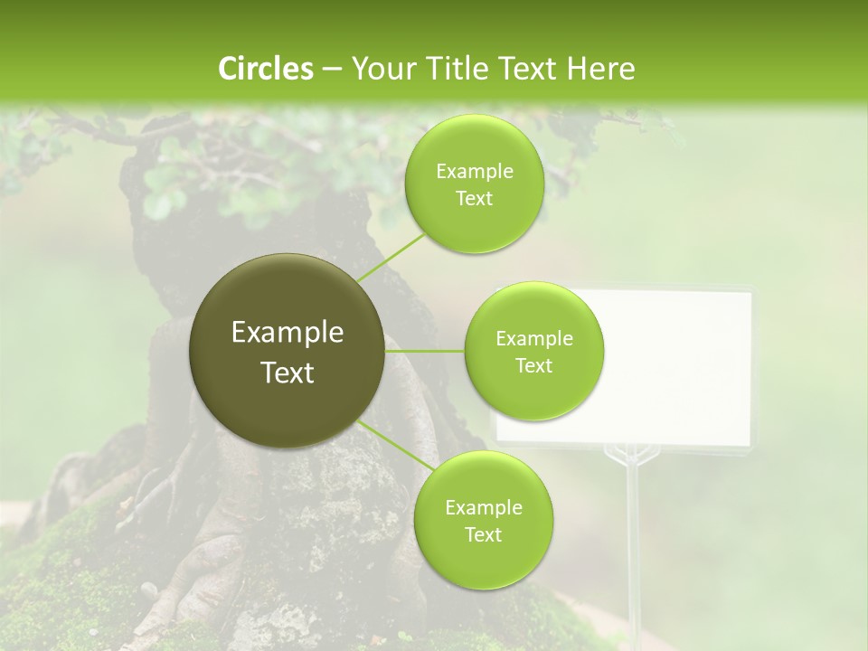 Shar Pei Puppy Lying Down PowerPoint Template