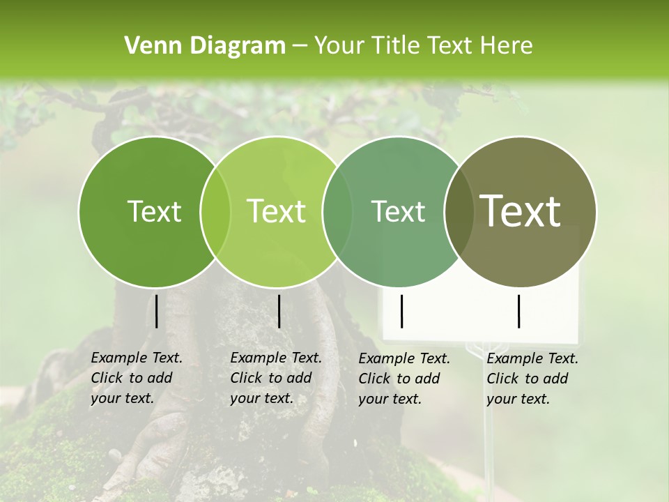 Shar Pei Puppy Lying Down PowerPoint Template