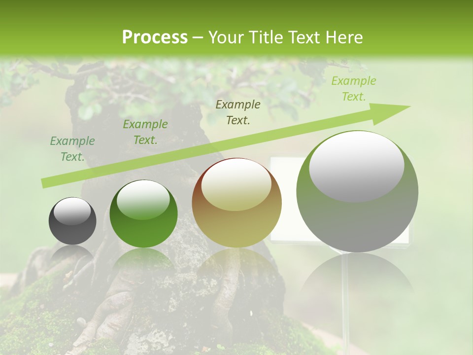 Shar Pei Puppy Lying Down PowerPoint Template