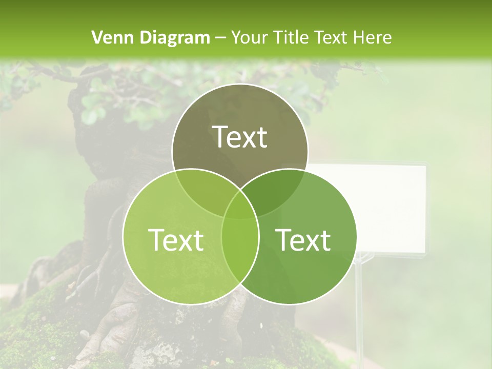 Shar Pei Puppy Lying Down PowerPoint Template