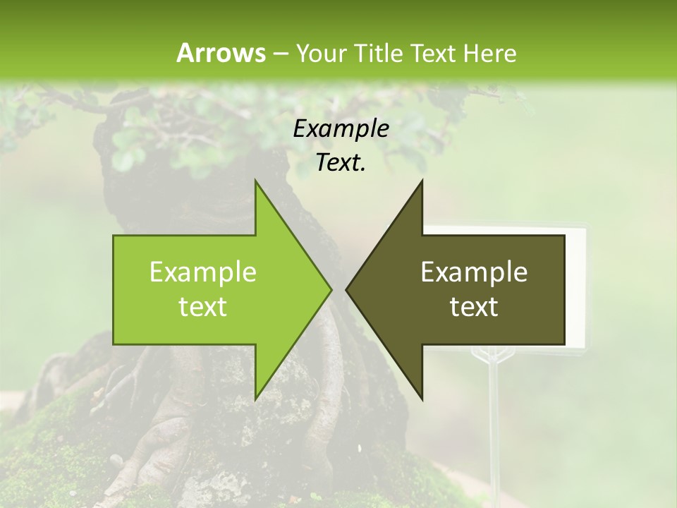 Shar Pei Puppy Lying Down PowerPoint Template