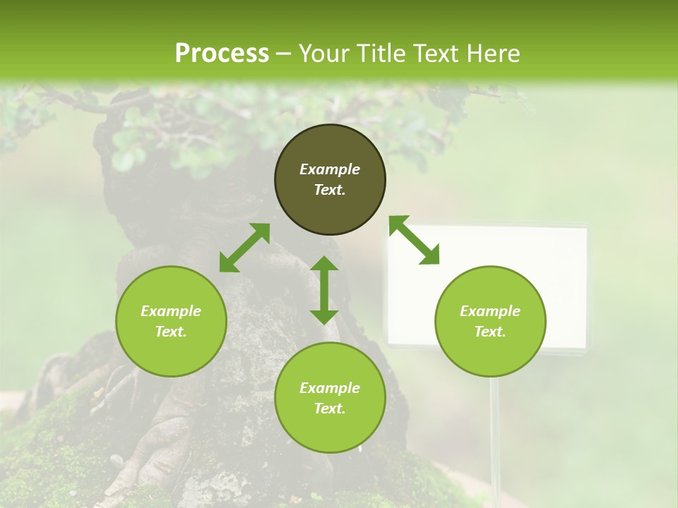 Shar Pei Puppy Lying Down PowerPoint Template