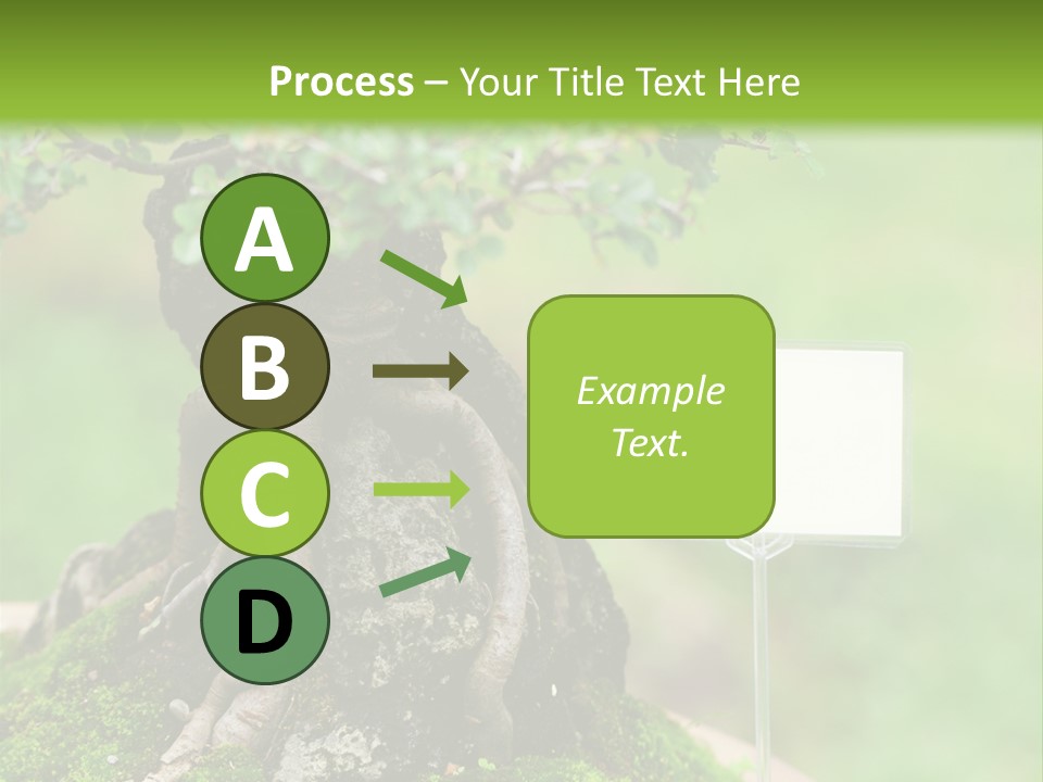 Shar Pei Puppy Lying Down PowerPoint Template