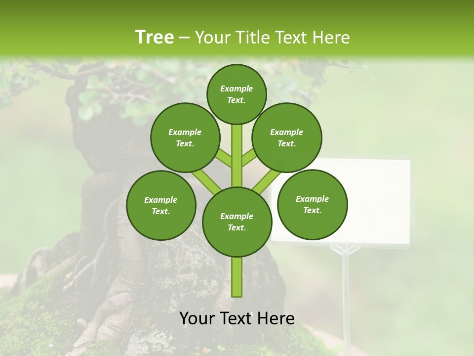 Shar Pei Puppy Lying Down PowerPoint Template