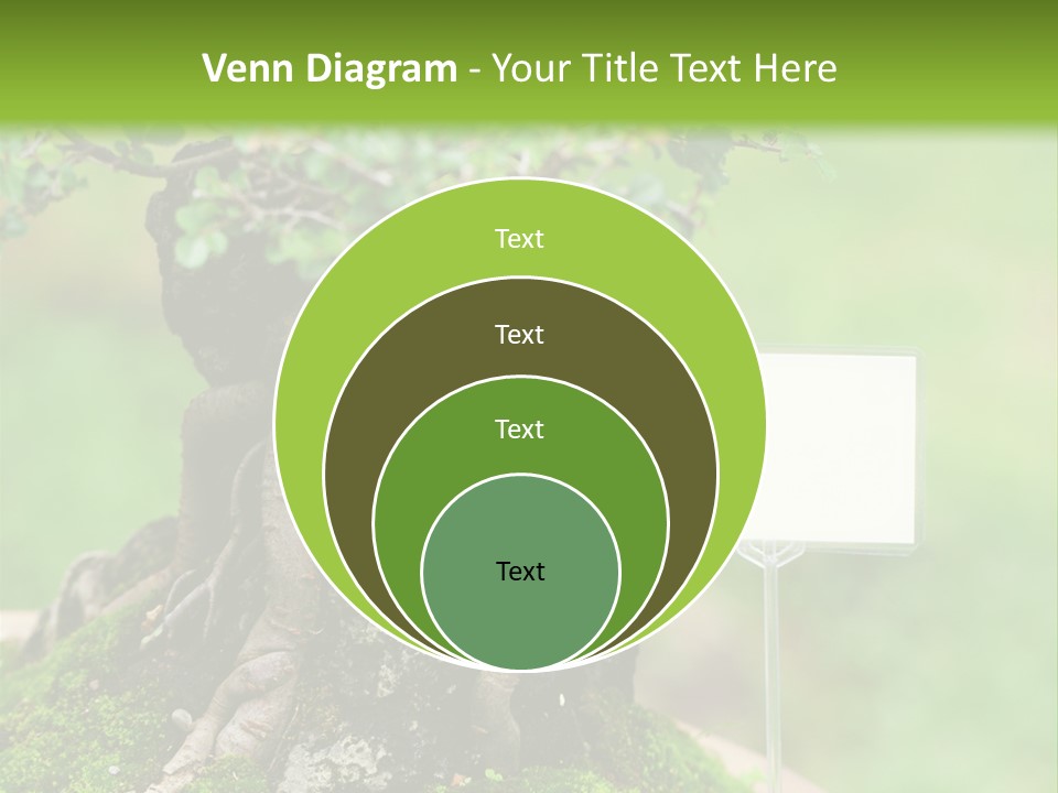 Shar Pei Puppy Lying Down PowerPoint Template