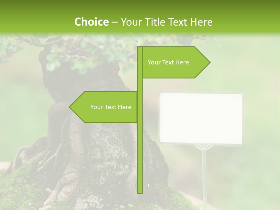 Shar Pei Puppy Lying Down PowerPoint Template