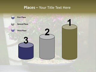 Bonsai Leaf Plant PowerPoint Template