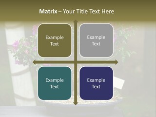 Bonsai Leaf Plant PowerPoint Template