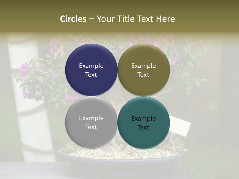 Bonsai Leaf Plant PowerPoint Template