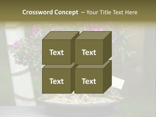 Bonsai Leaf Plant PowerPoint Template