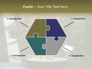 Bonsai Leaf Plant PowerPoint Template