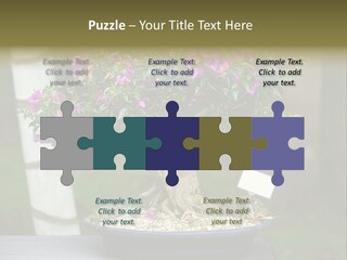 Bonsai Leaf Plant PowerPoint Template