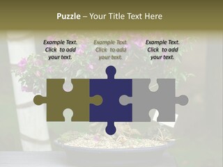 Bonsai Leaf Plant PowerPoint Template