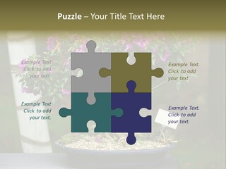 Bonsai Leaf Plant PowerPoint Template