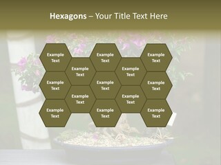 Bonsai Leaf Plant PowerPoint Template