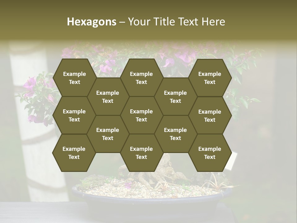 Bonsai Leaf Plant PowerPoint Template