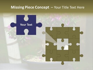 Bonsai Leaf Plant PowerPoint Template