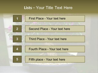 Bonsai Leaf Plant PowerPoint Template