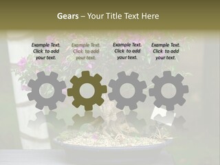 Bonsai Leaf Plant PowerPoint Template