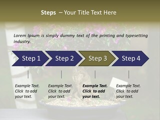 Bonsai Leaf Plant PowerPoint Template