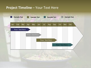 Bonsai Leaf Plant PowerPoint Template