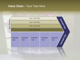 Bonsai Leaf Plant PowerPoint Template