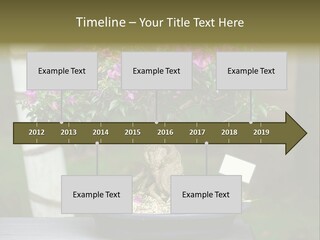 Bonsai Leaf Plant PowerPoint Template