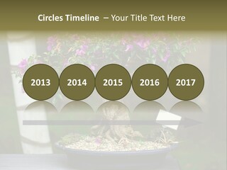 Bonsai Leaf Plant PowerPoint Template