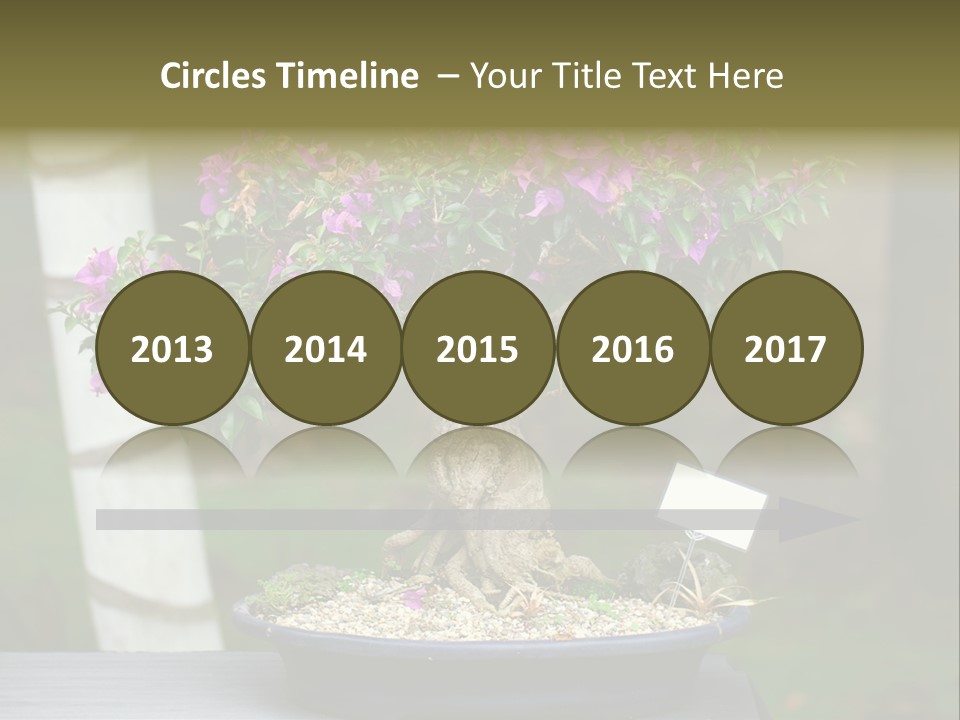 Bonsai Leaf Plant PowerPoint Template