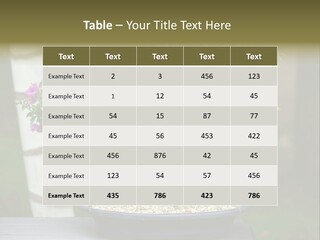 Bonsai Leaf Plant PowerPoint Template