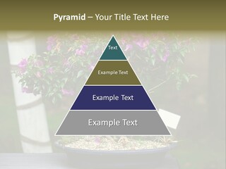 Bonsai Leaf Plant PowerPoint Template